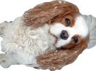 toby